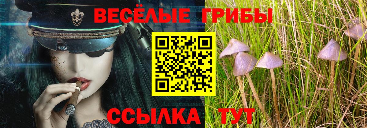 Дедовск  Псилоцибиновые грибы Psilocybine cubensis  Вход с VPN 